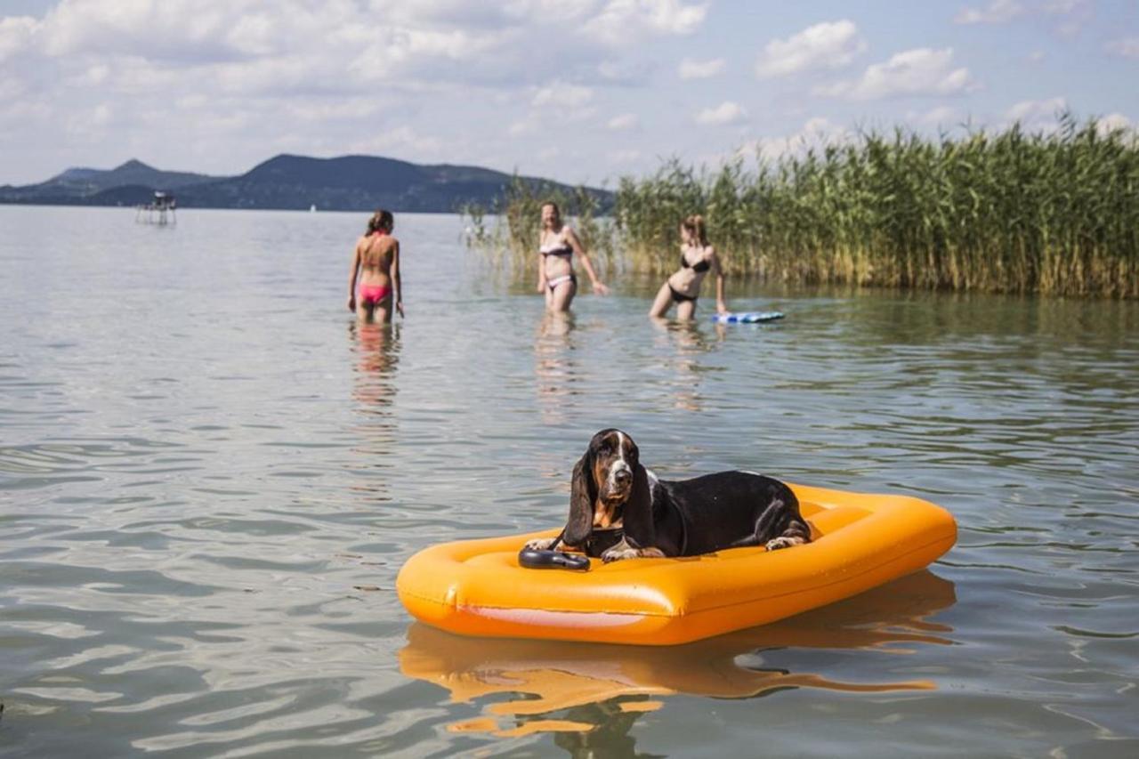 Holiday Home In Fonyod/Balaton 39889 Luaran gambar